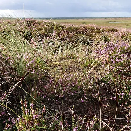4 Person In Strand-by Traum * ויירס סטרנד