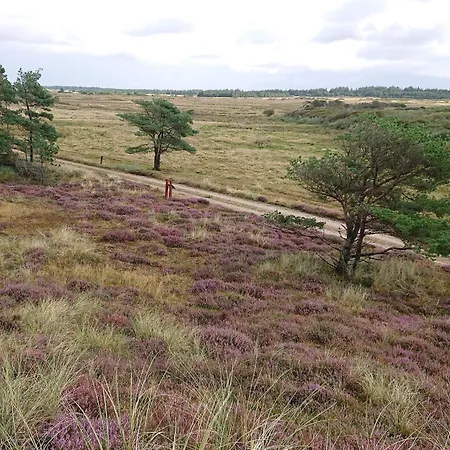 4 Person In Strand-by Traum ויירס סטרנד