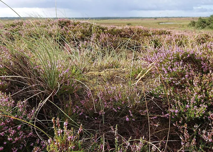 4 Person In Strand-by Traum * ויירס סטרנד